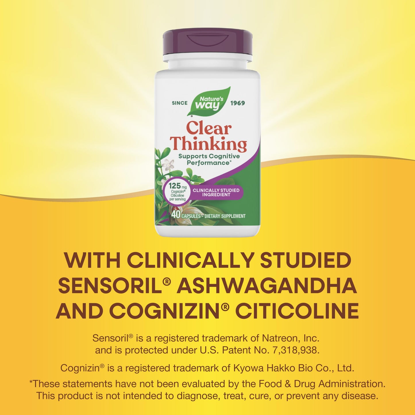 Nature's Way Clear Thinking Cognitive Performance Ashwagandha, 40 Capsules