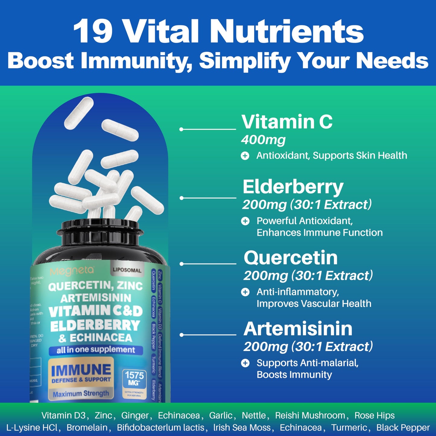 MEGNETA Immune Support Supplement Capsule 60 Count