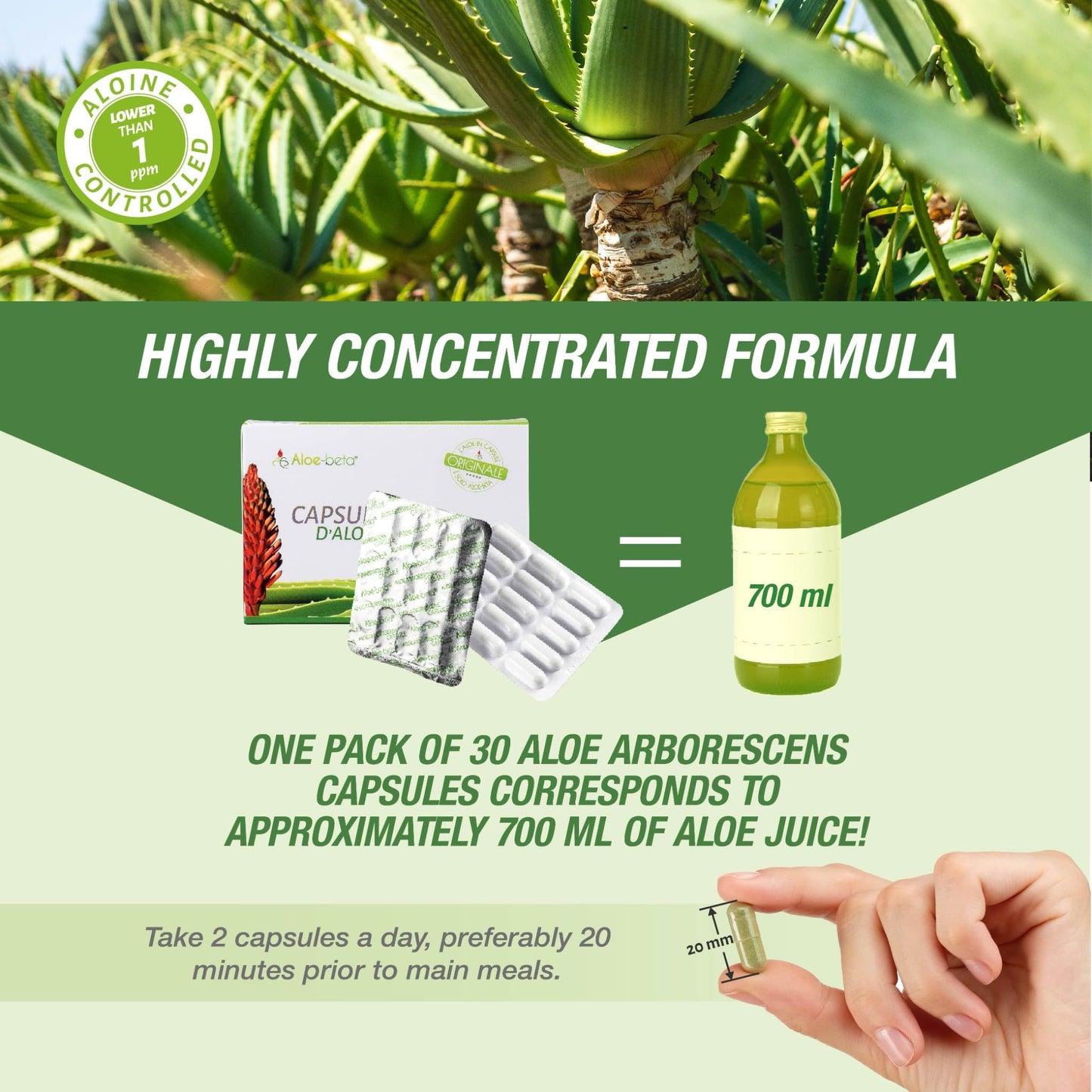 Aloe-beta Aloe Arborescens Natural Power Capsules, 0.53 oz (Pack of 1)