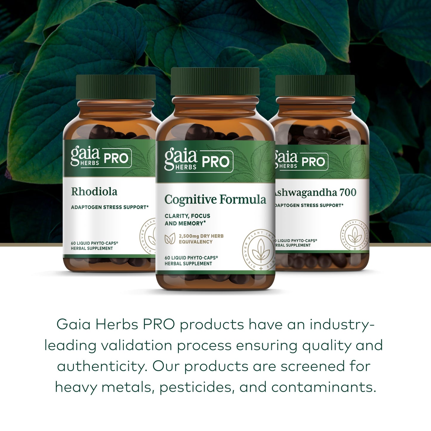 Gaia Herbs PRO Cognitive Formula Capsule, 60 Count