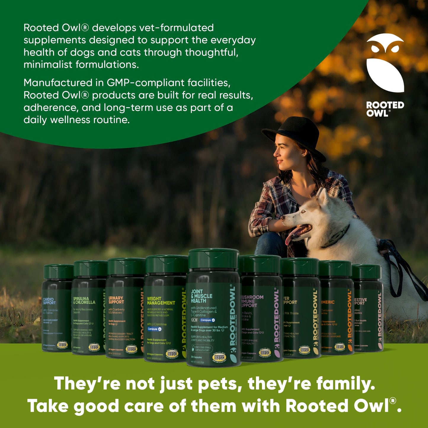 Rooted Owl Healthy Weight & Energy Metabolism Supplement for Dogs & Cats Capsule 1