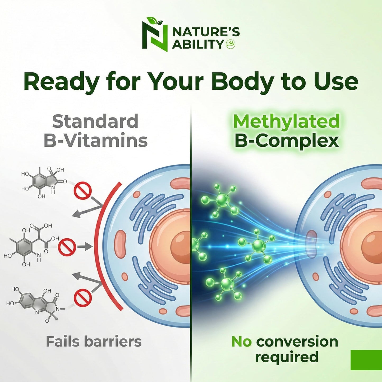 NATURE'S ABILITY Methyl B Complex Capsules, 30 Count