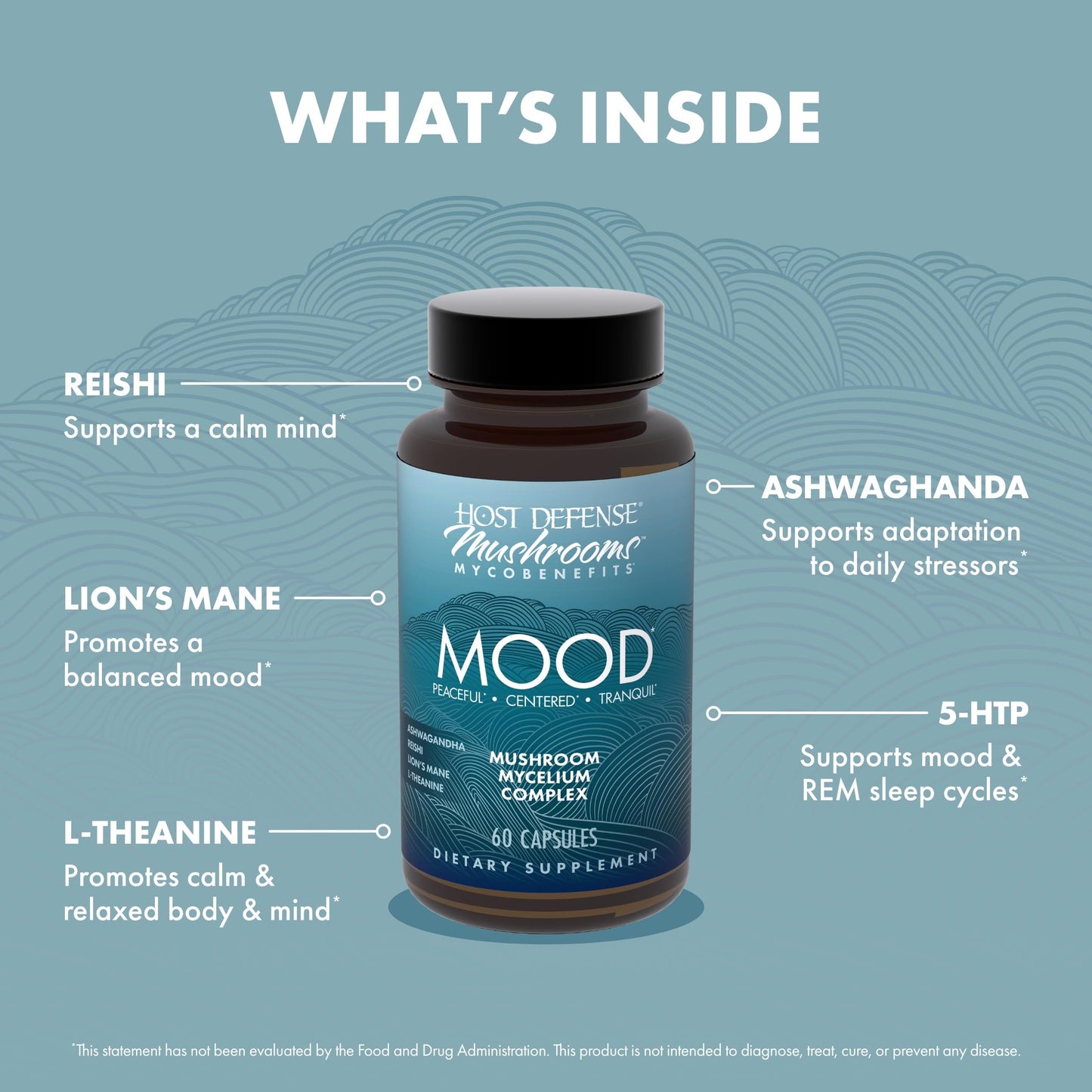 Host Defense MycoBenefits Mood Capsules 60 Count