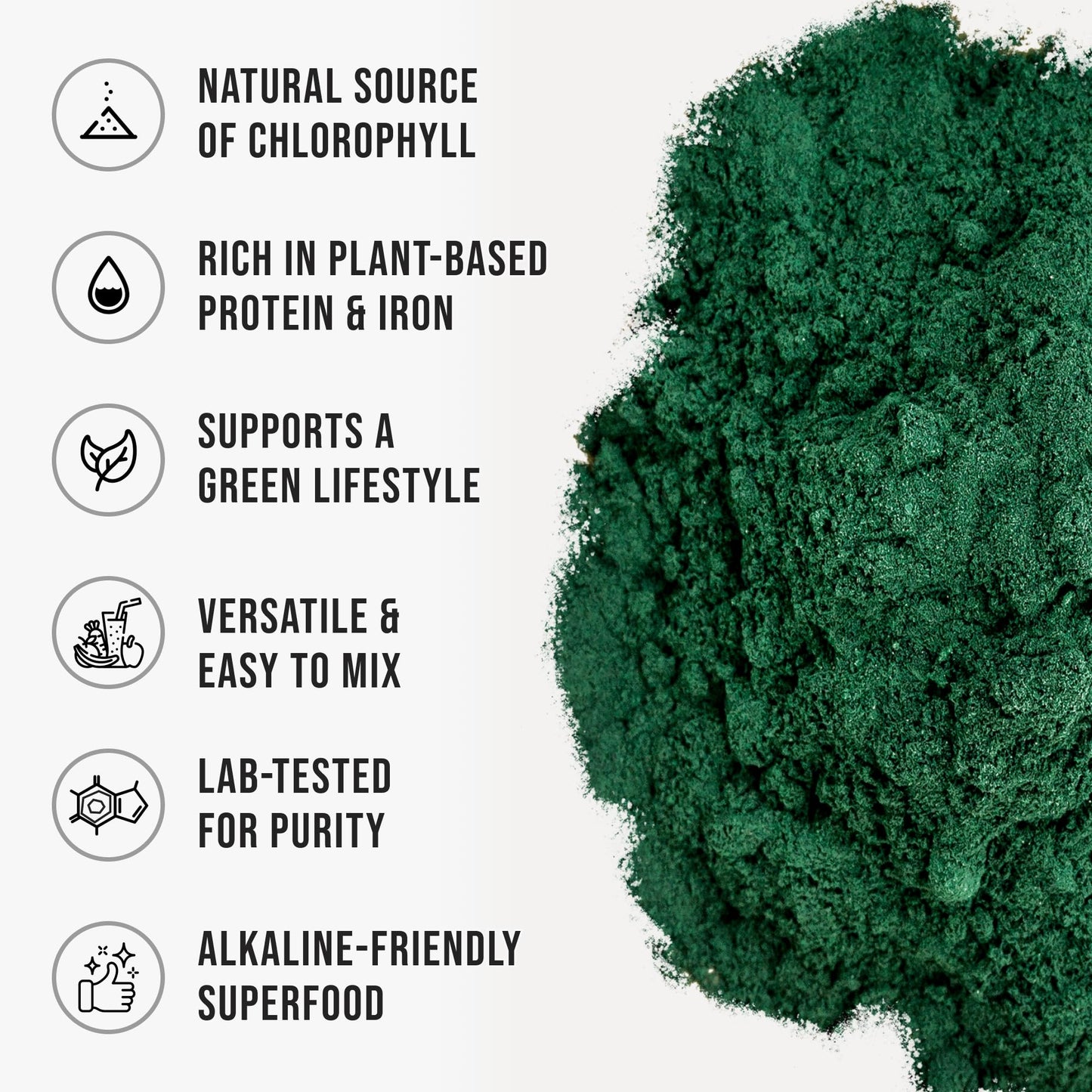 WHYZ Organic Chlorella Powder 22