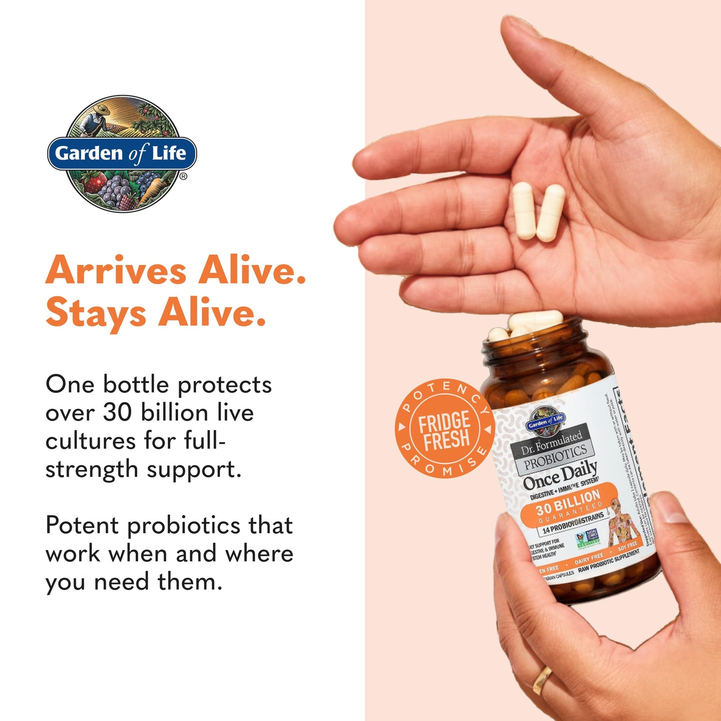 Garden of Life Dr. Formulated Probiotics Once Daily 30 Billion CFU Capsules, 30 Count