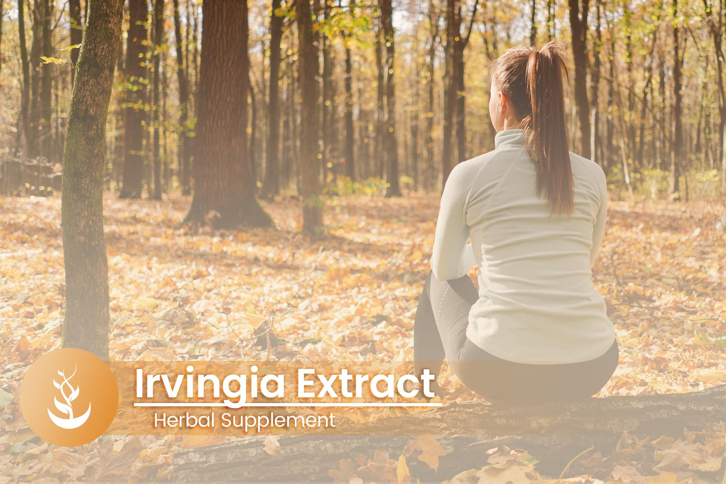 PURE ORIGINAL INGREDIENTS Irvingia Capsules 100
