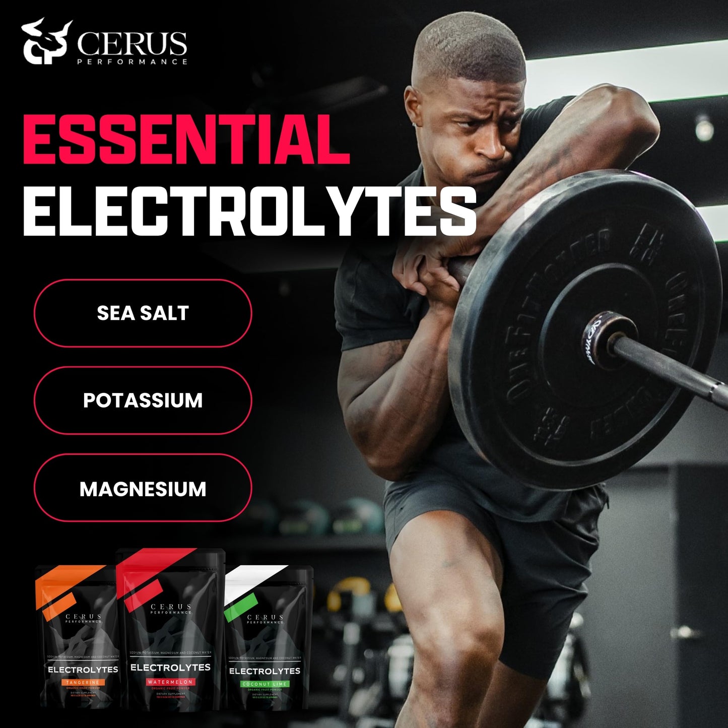 Cerus Performance Electrolyte Powder 6.56 Ounce