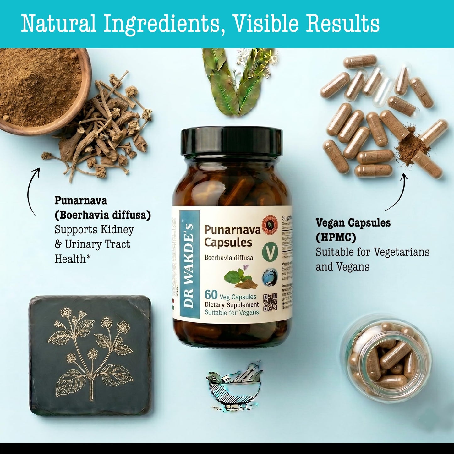 DR WAKDE'S Punarnava Capsules, 1 Count