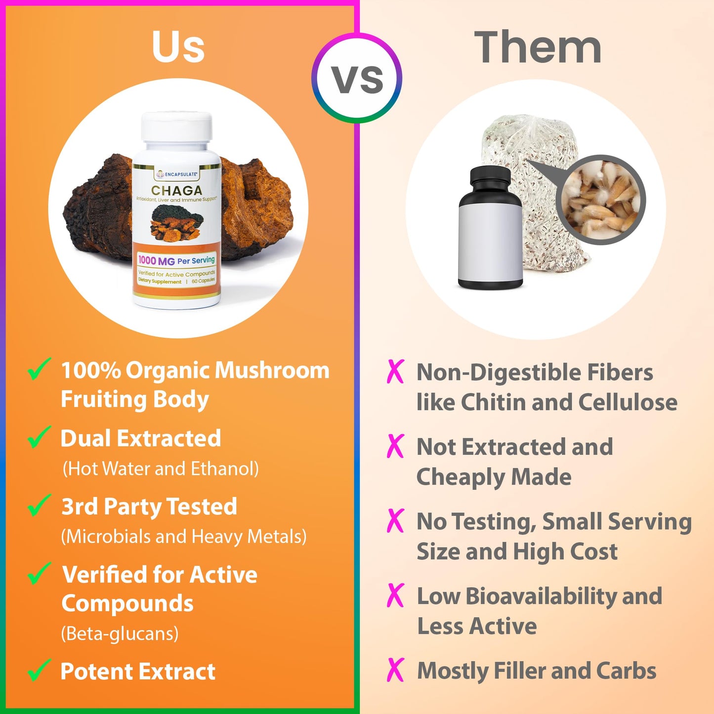 ENCAPSULATE Chaga 8:1 Extract capsules, 60 Count