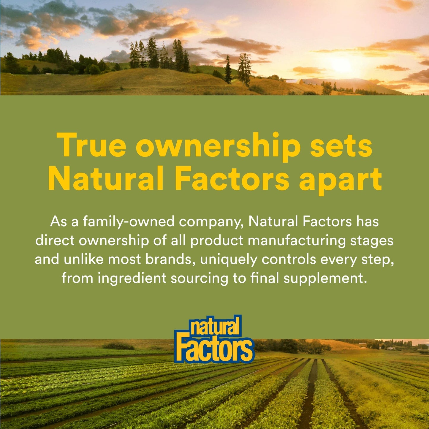 Natural Factors HerbalFactors Urinary Flow Formula 90 Capsules
