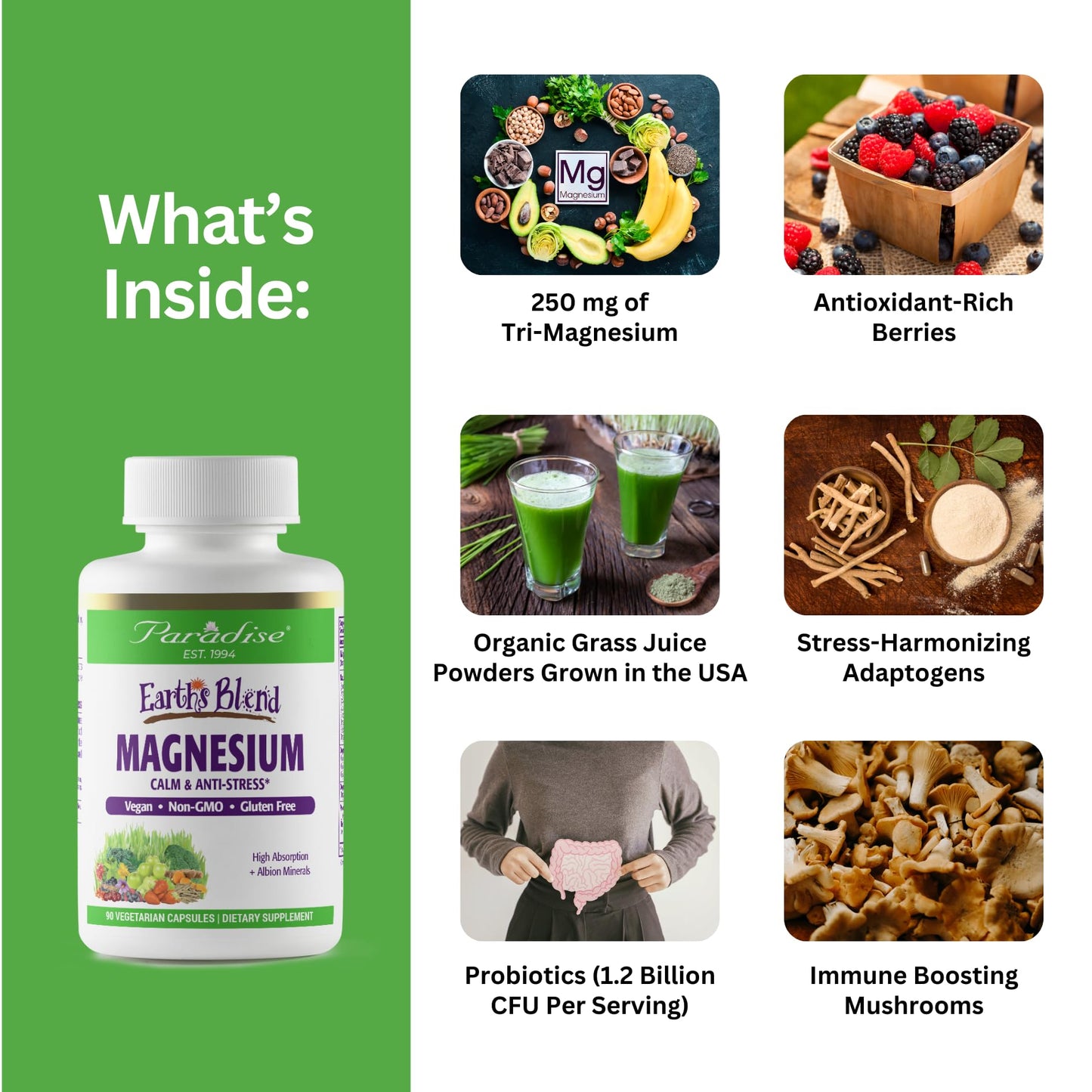 Paradise Herbs Earth's Blend Magnesium Supplement, 90 Vegetarian Capsules