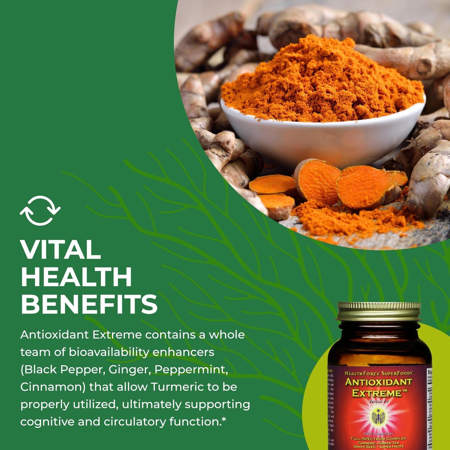 HEALTHFORCE SUPERFOODS Antioxidant Extreme Capsules, 60 Capsules