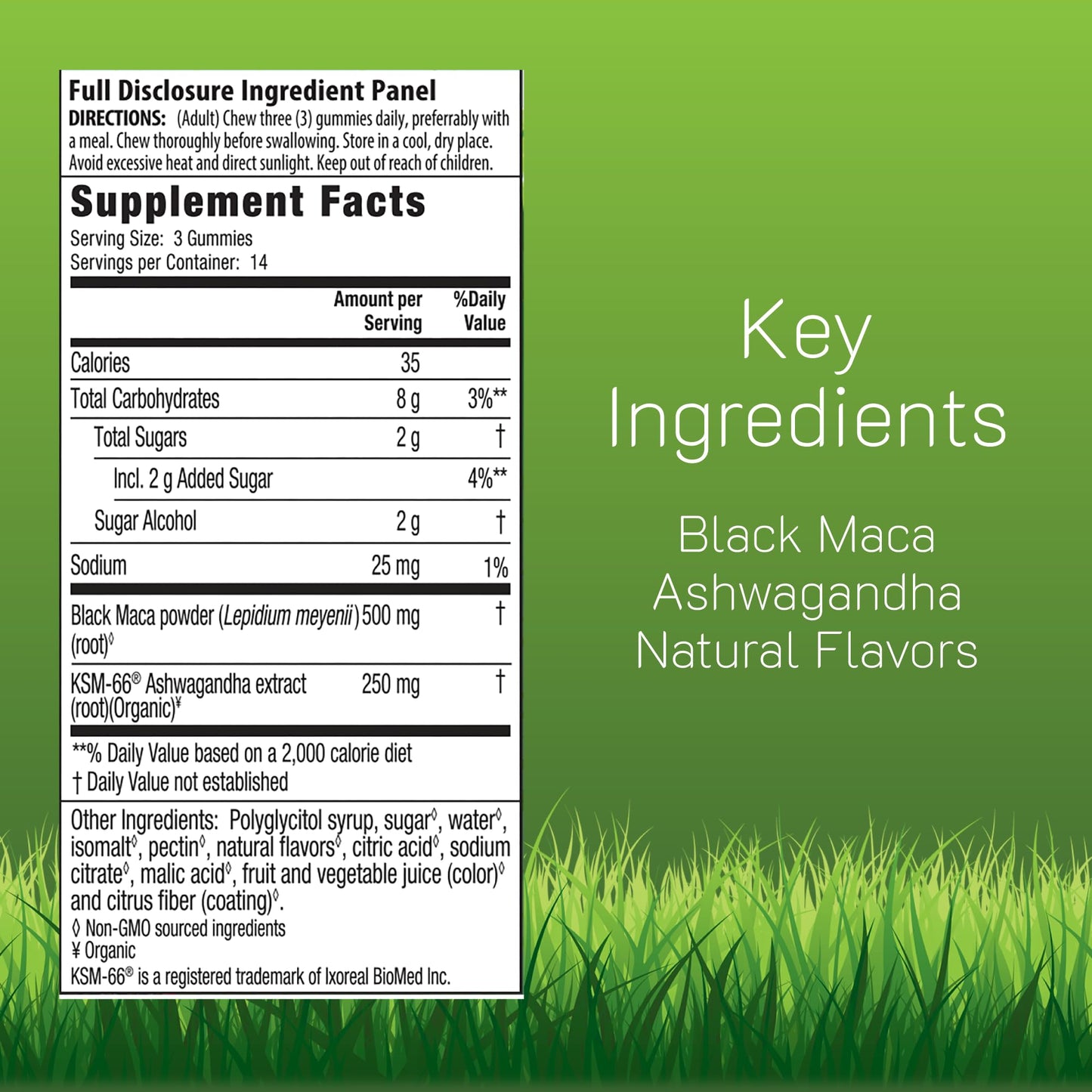 Irwin Naturals Maca Root + Ashwagandha Gummies 42 Count