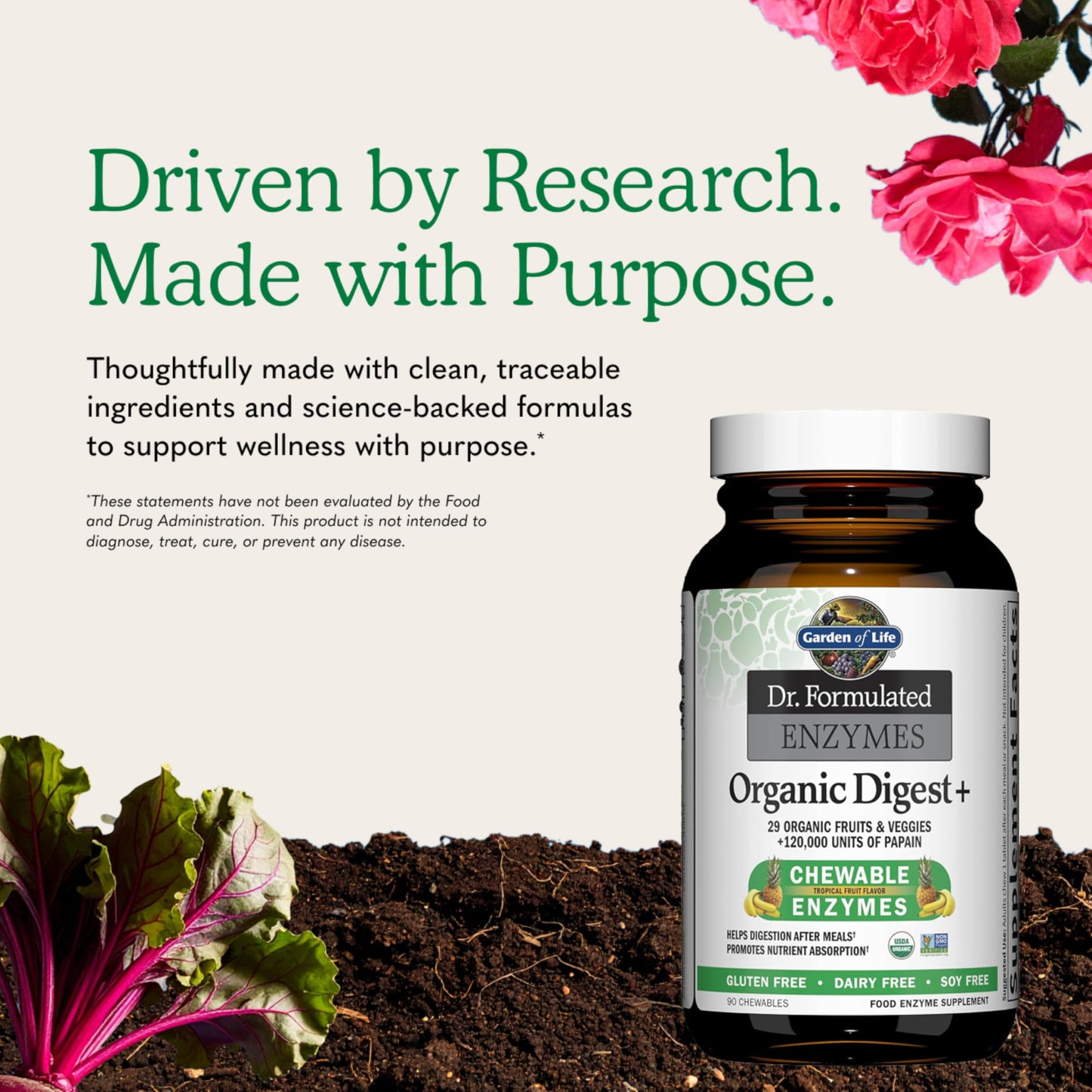 Garden of Life Dr Formulated Digestive Enzymes with Papain, Bromelain, Lipase Chewables 90 Count