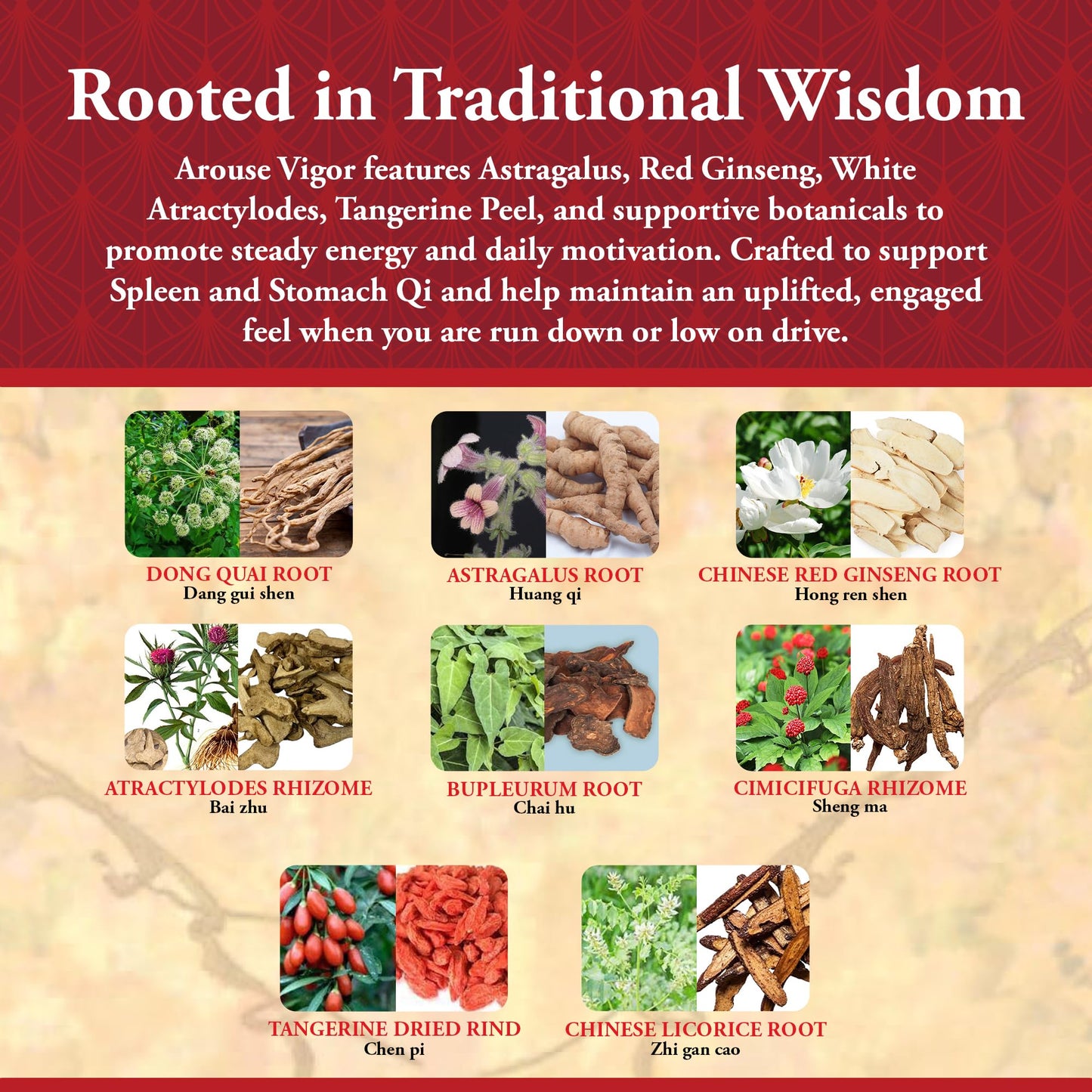 Kan Herbals Arouse Vigor Traditional Herbal Formula Tablets, 120 Tablets