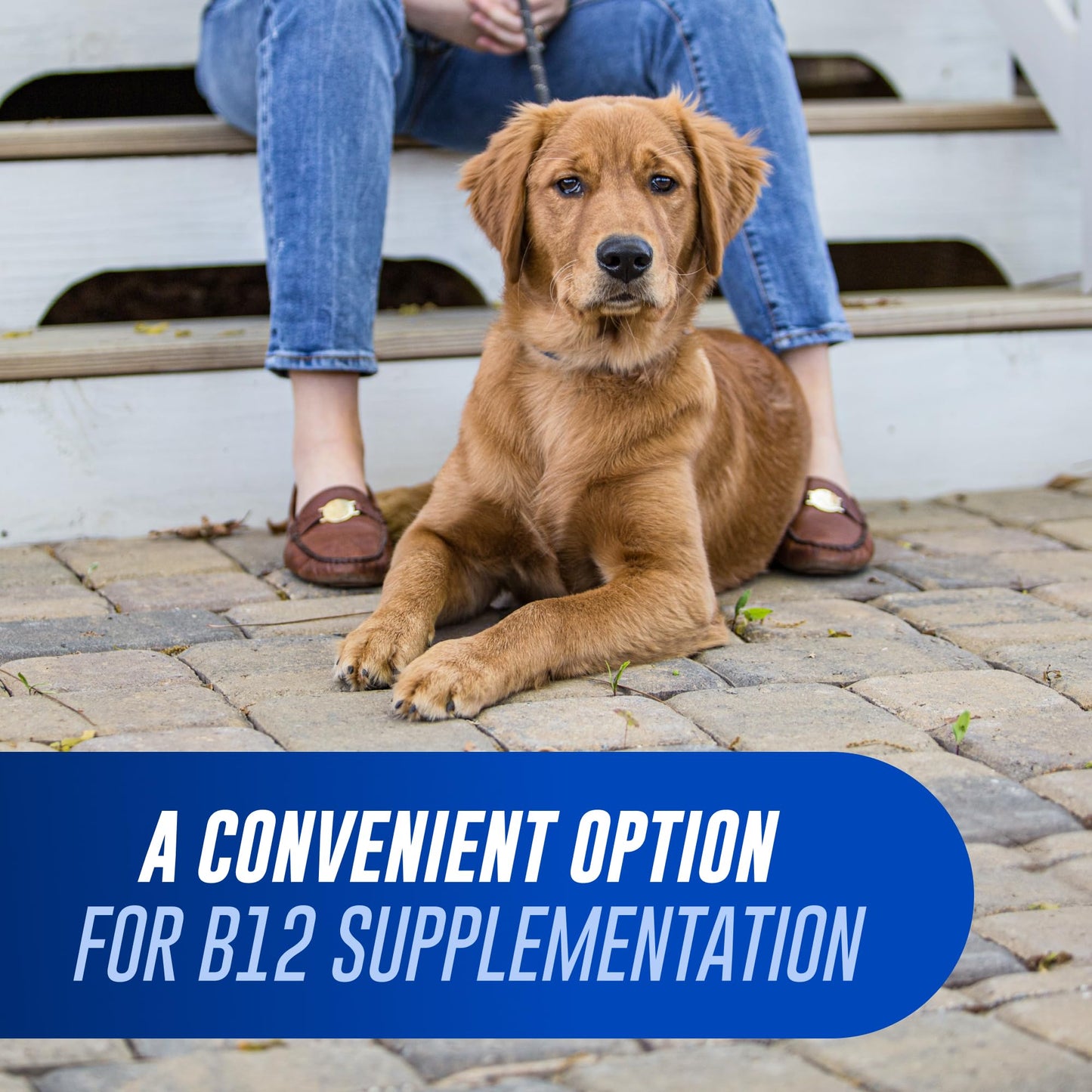 Nutramax Laboratories Cobalequin Vitamin B12 for Dogs Over 21lbs Chewable Tablets, 45 Count
