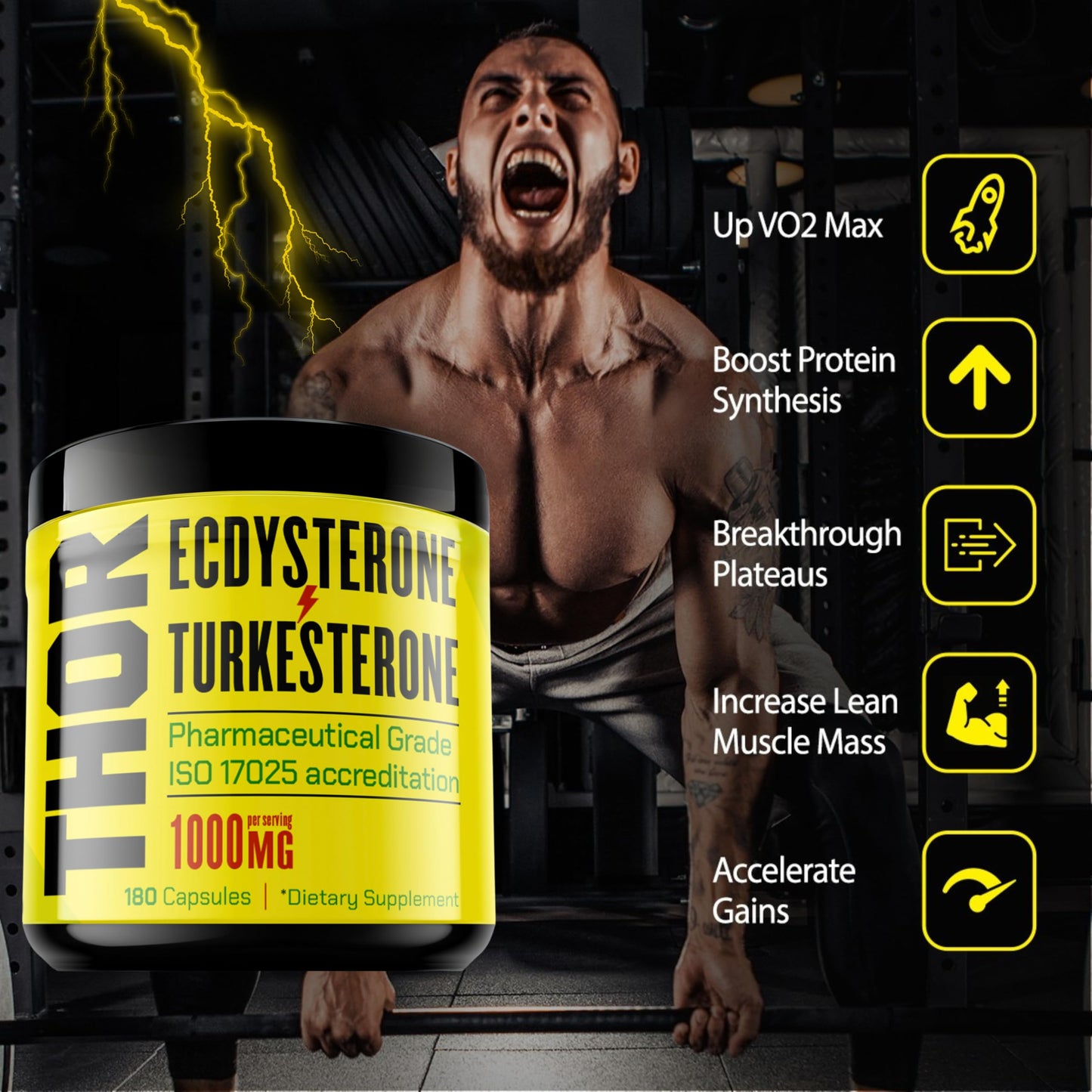 Flight Armour Turkesterone + Ecdysterone Anabolic Supplement Capsule 180 Count
