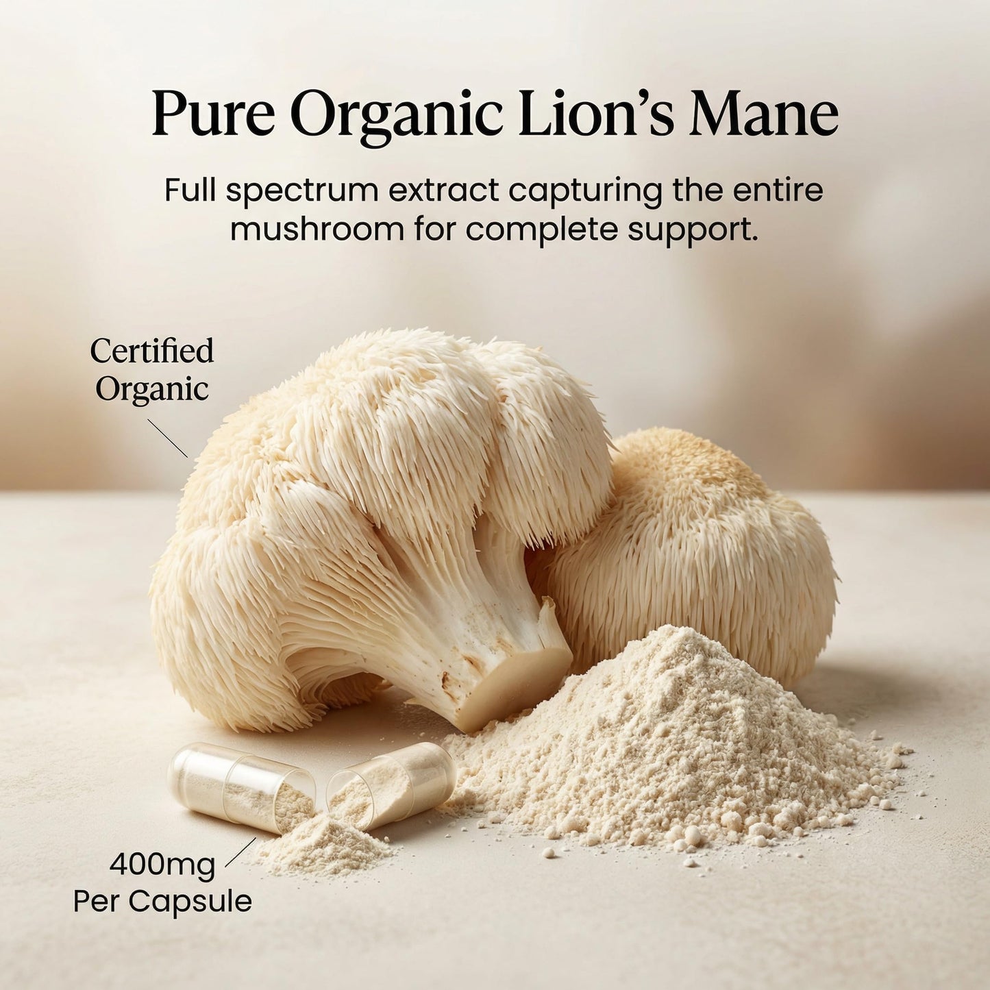 PURICA Lion's Mane Micronized Mushrooms Capsules 120