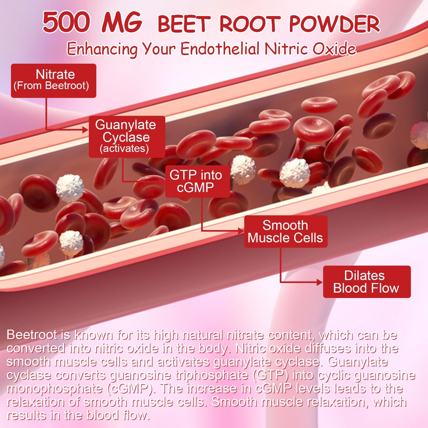 SXNWSN Super Beetroots Gummies with CoQ10 & Grape Seed Extract, 90 Count