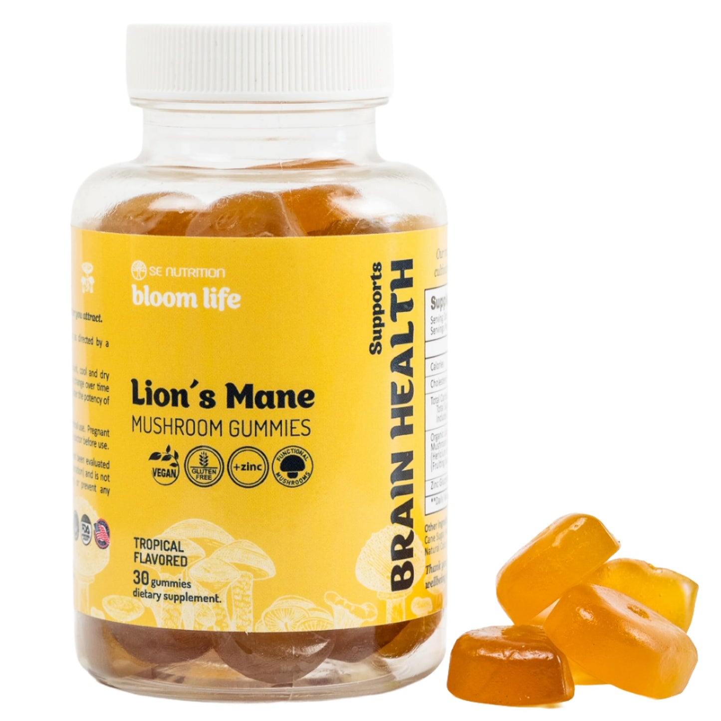 SE Nutrition Lion’s Mane Mushroom Gummies with Zinc – Brain, Focus & Immune Support – Gummies, 30 Count