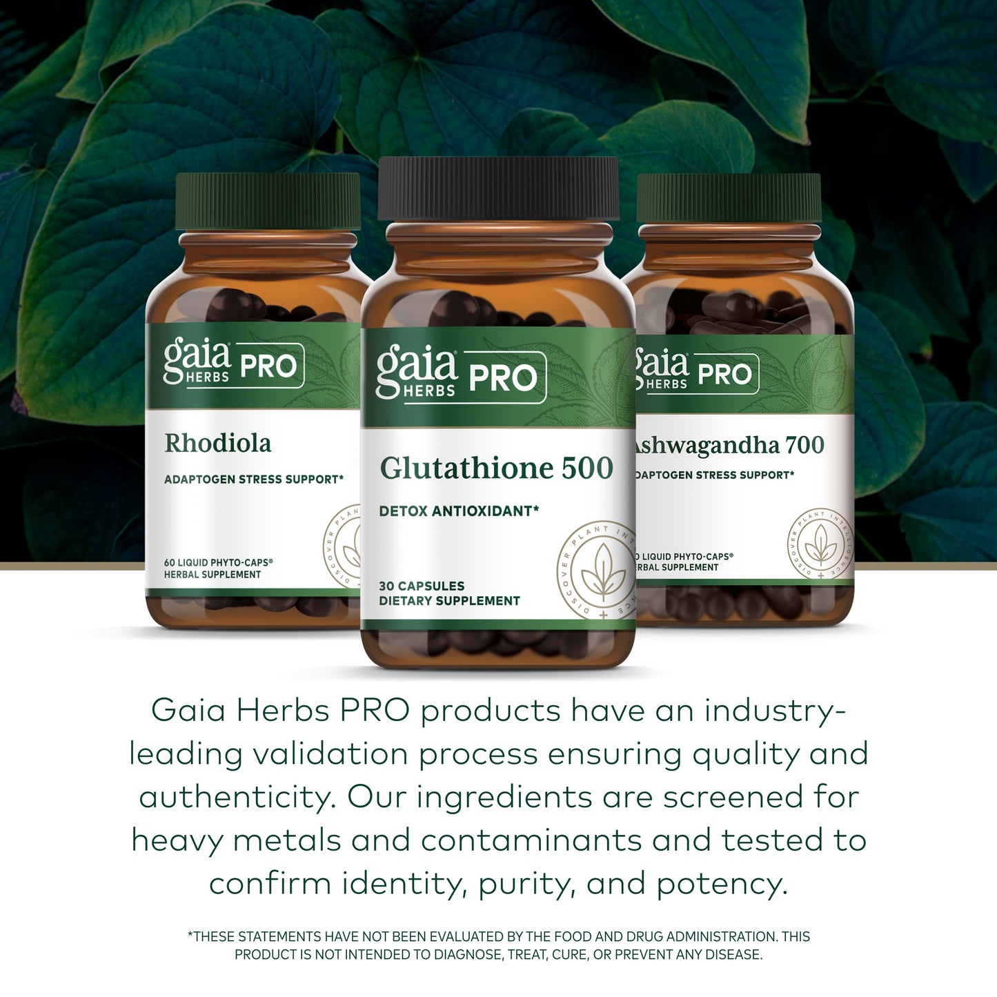 GAIA HERBS PRO Boswellia Joint Formula - Joint Health & Mobility Support, 60 Vegan Capsules
