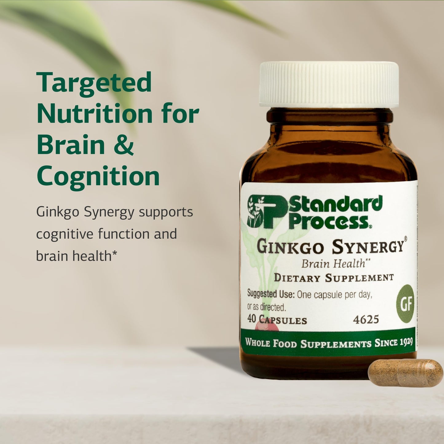 Standard Process Inc. Ginkgo Synergy 40 Capsules