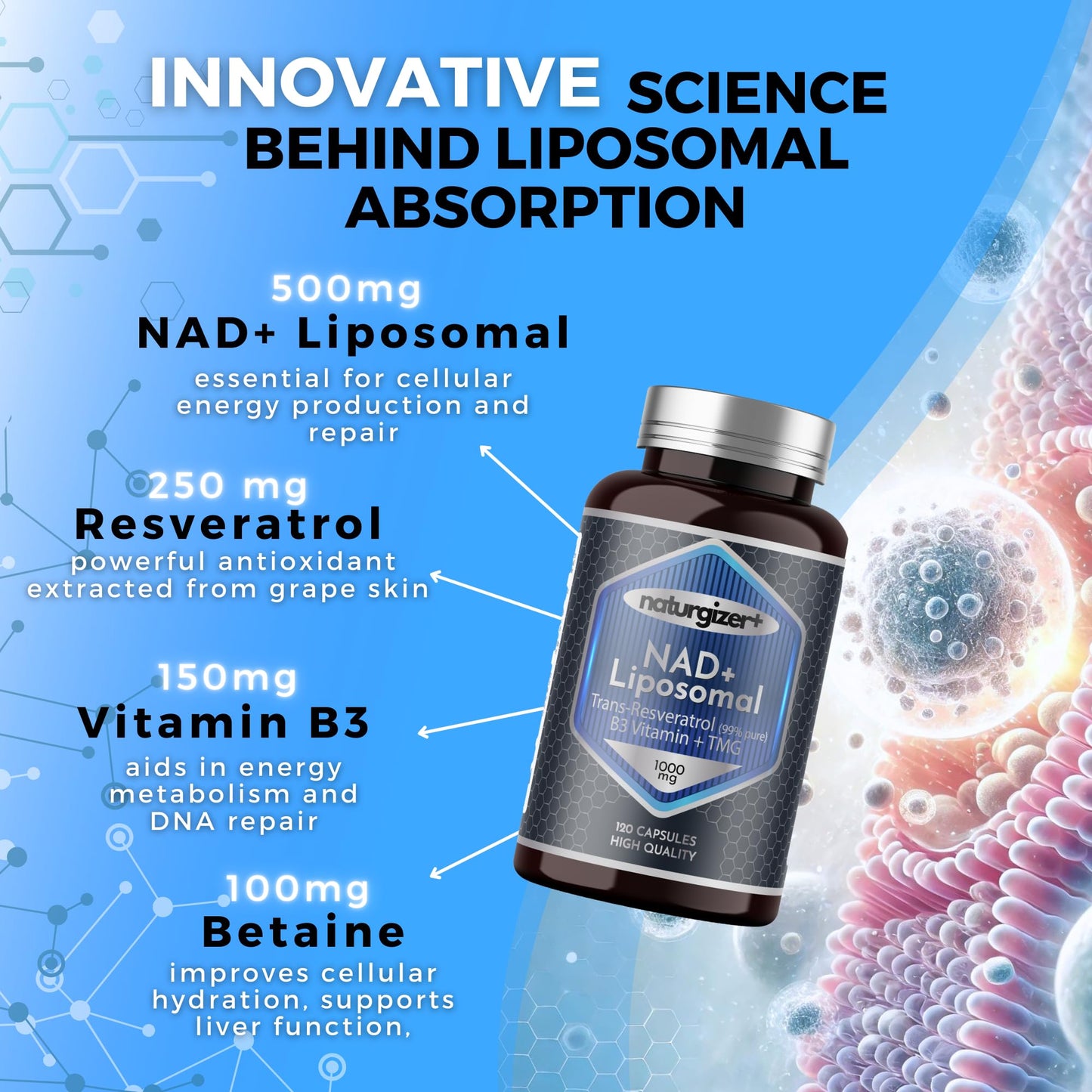 naturgizer+ Liposomal NAD+ Supplement with Resveratrol, Vitamin B3 & TMG 120 Capsules