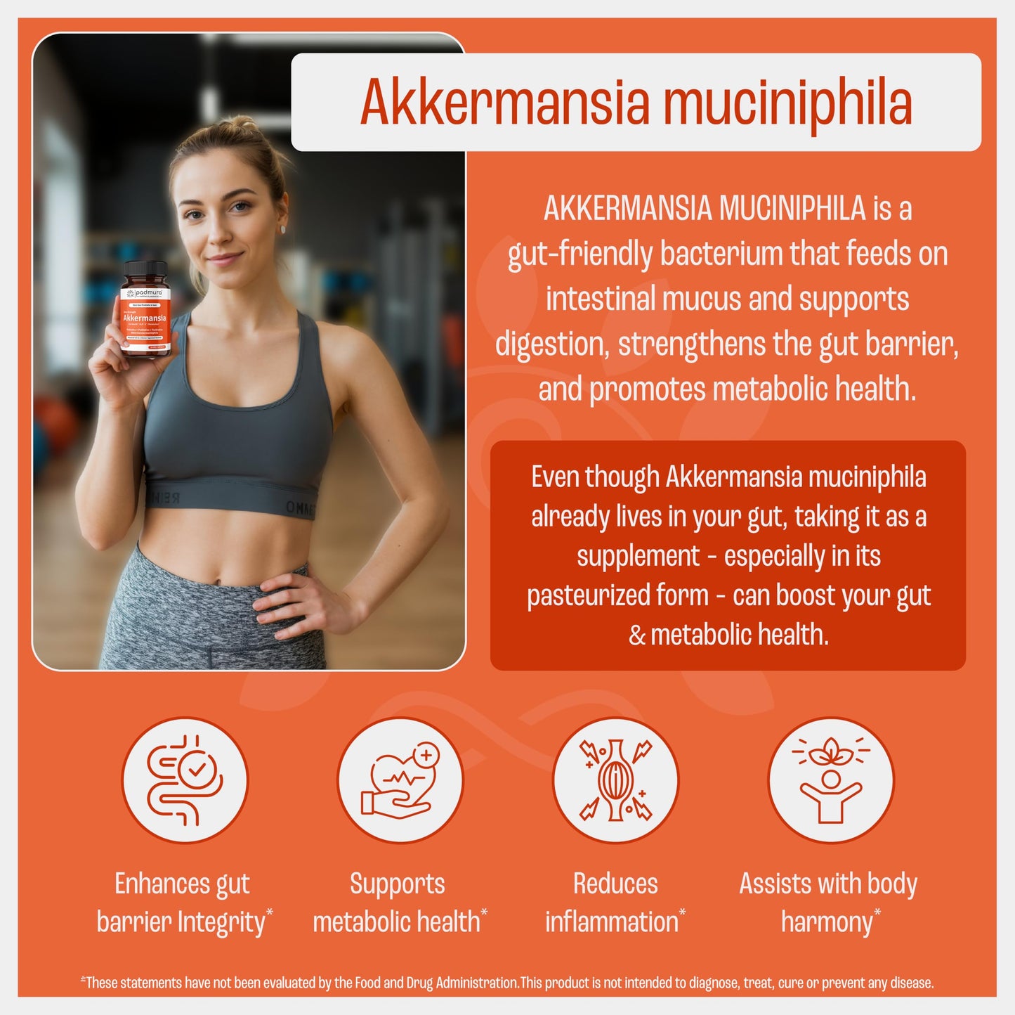 PADMURA Akkermansia Muciniphila Probiotic Supplement Capsule 30 Count