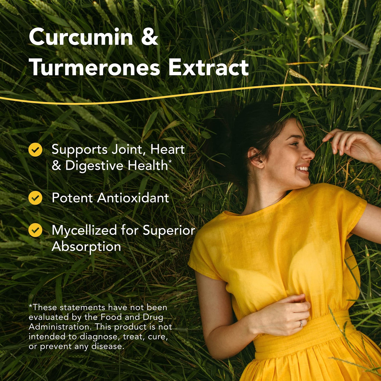 North American Herb & Spice Turmeric Power-Plus Capsule, 120 Count