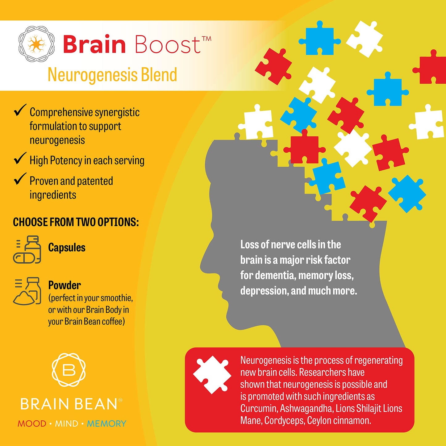 Brain Bean Brain-Boost Powder 5.29 Ounce