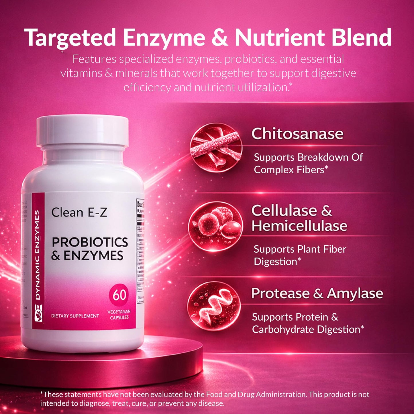 Dynamic Enzymes Clean E-Z Enzymes + Probiotics – Chitosanase Enzyme Blend with Shelf-Stable Probiotics – Supports Gut & Microbiome Balance – Empty Stomach Cleanse Support, 60 Capsules