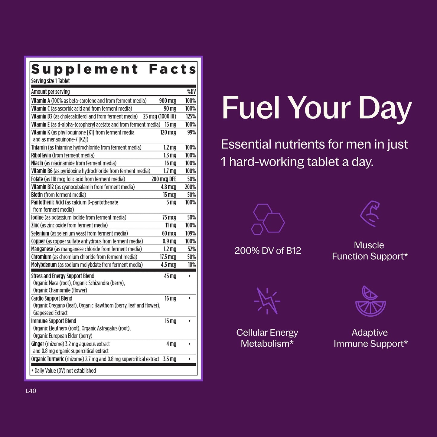 New Chapter Men's One Daily Multivitamin Caplets, 48