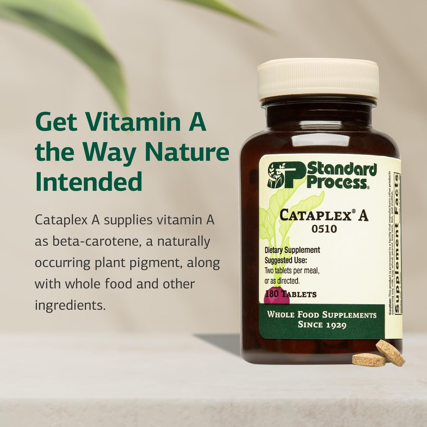 Standard Process Inc. Cataplex A Tablet, 180 Tablets