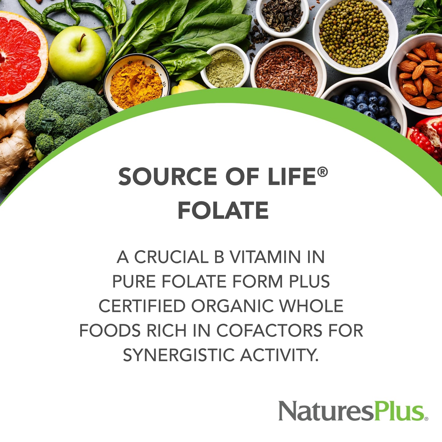 NaturesPlus Source of Life Garden Folate Capsules, 60 Count