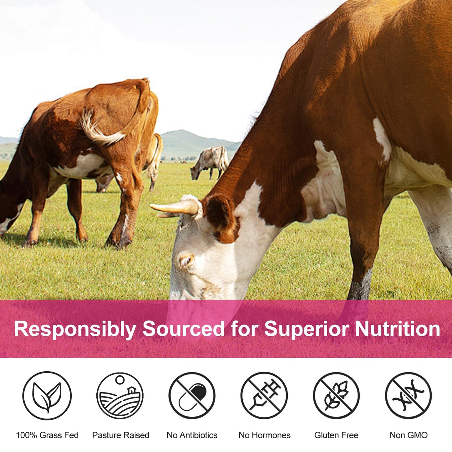Kuerusor Beef Liver Extract Capsules, 90 Count