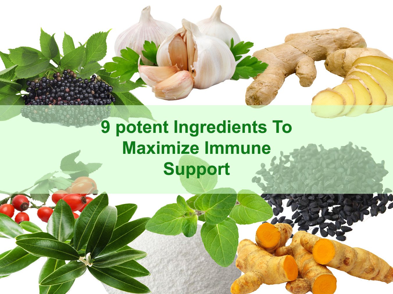 Immunopoint Immune Support Booster Organic Elderberry 60 Capsules
