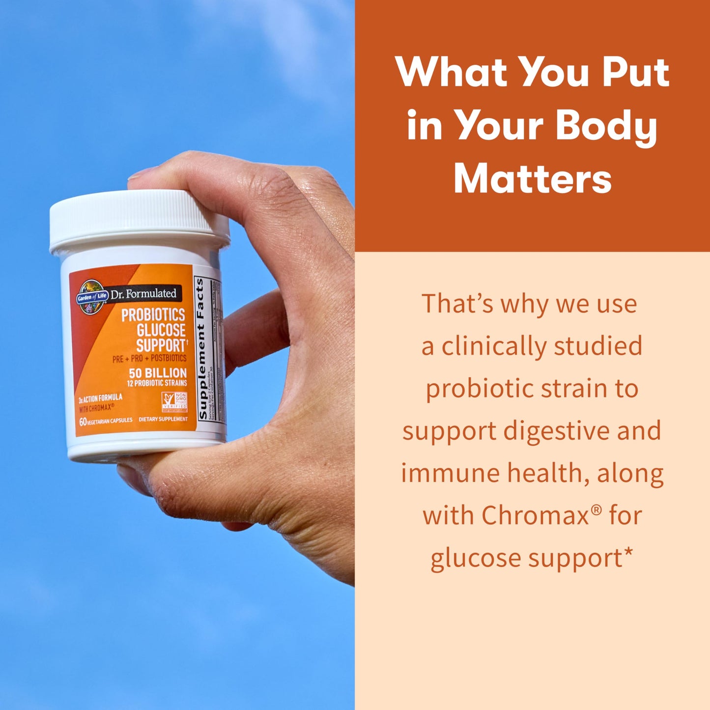 Garden of Life Dr. Formulated Glucose Support Probiotics with Chromax and Pre, Pro & Postbiotics – Digestive Health, Immune Health, Non-GMO, Gluten-Free, 60 Capsules