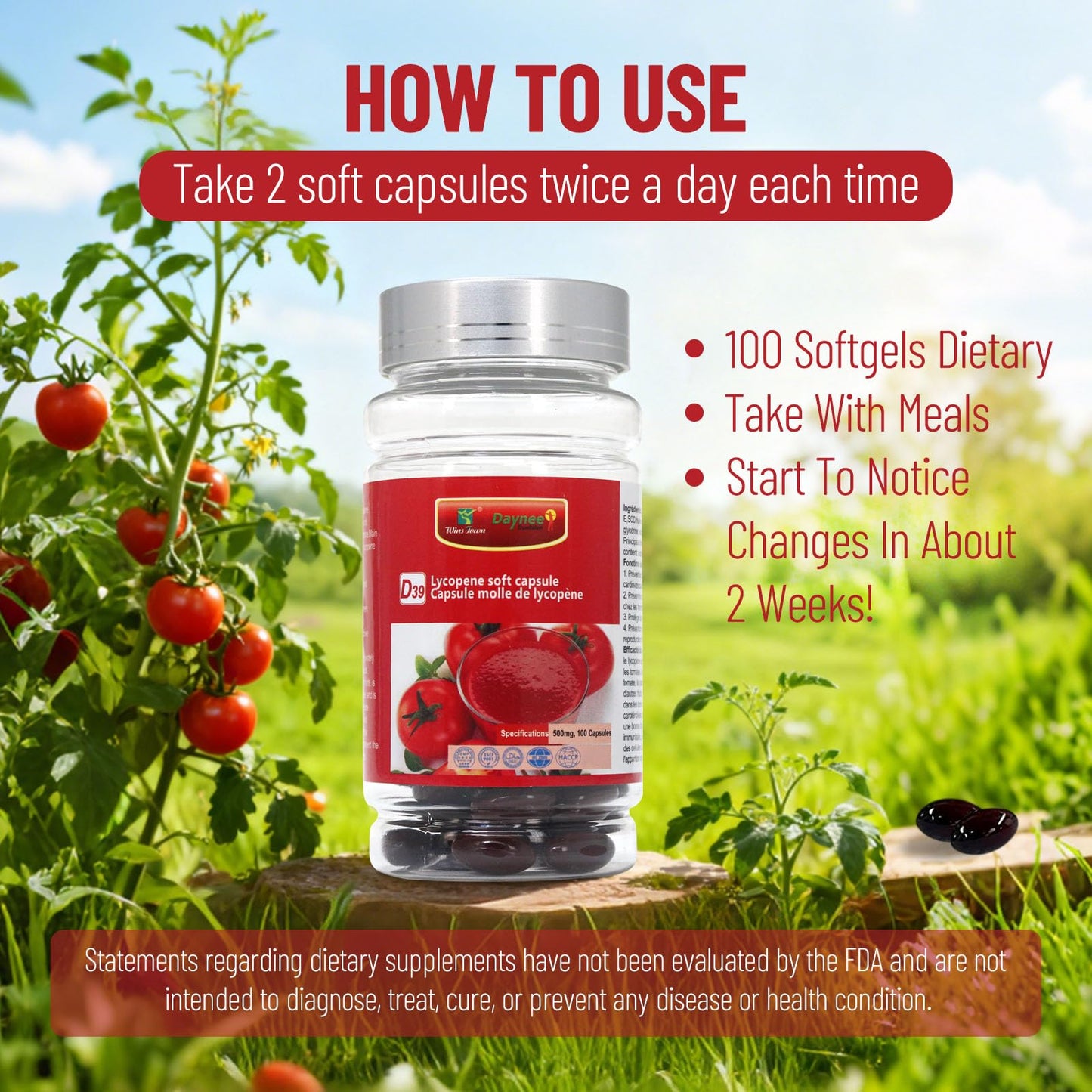 Wins Town Lycopene Softgels 500mg, 100 Softgels