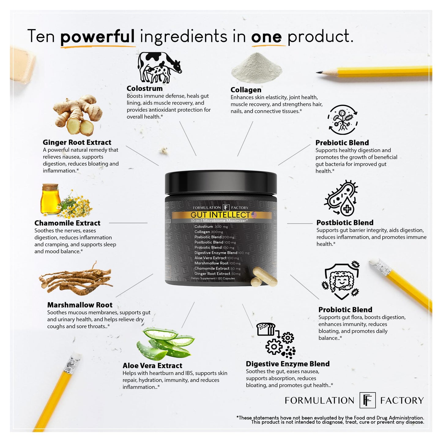 Formulation Factory Probiotics for Women & Men Gut Intellect 10-in-1 Digestive Enzymes with Prebiotics and Postbiotics Total Gut Health Supplement 120 Capsules