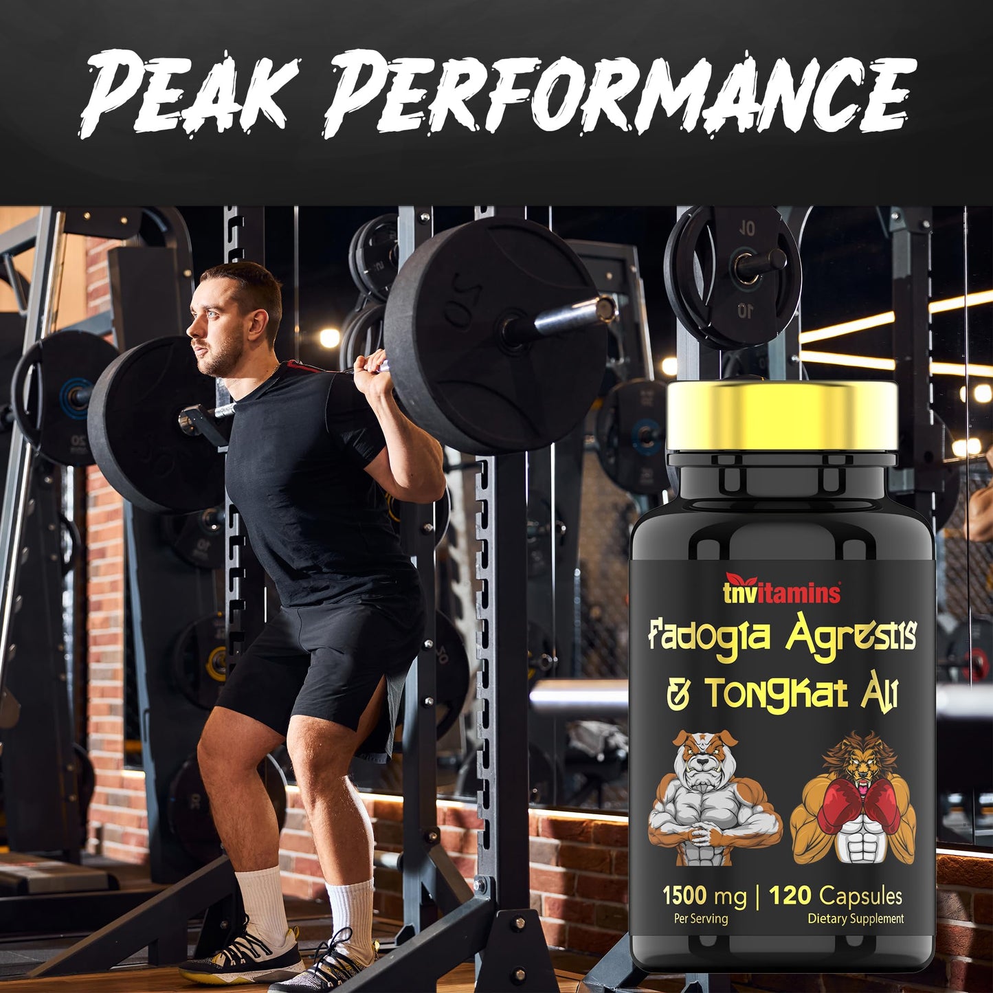 tnvitamins Fadogia Agrestis & Tongkat Ali Supplement Capsules 120