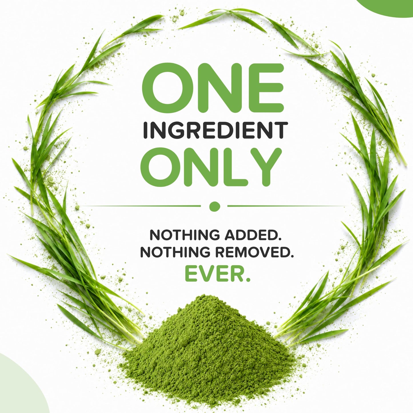 b Organic Wheatgrass Powder 1 Count