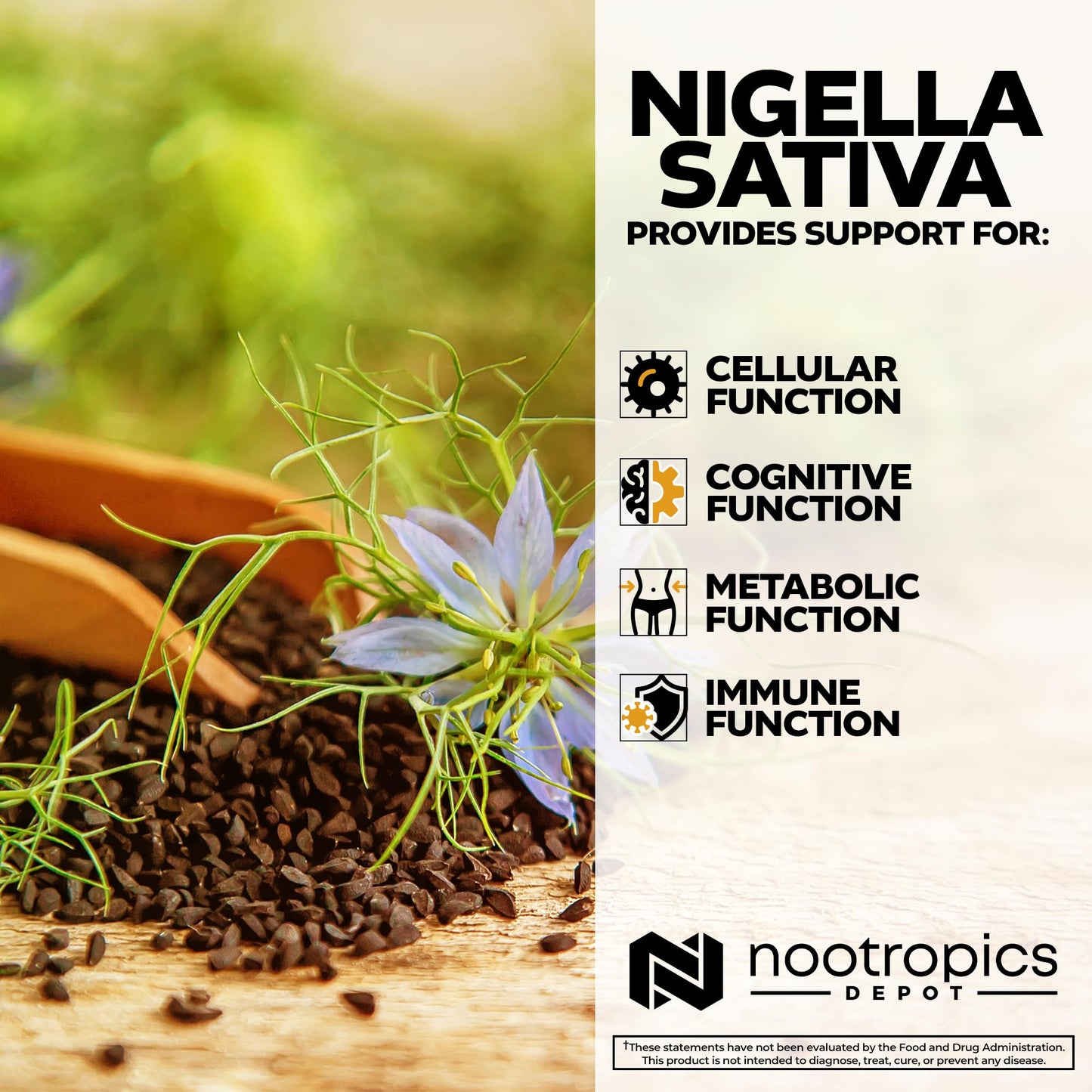 Nootropics Depot Nigella Sativa Extract Capsules 60 Count
