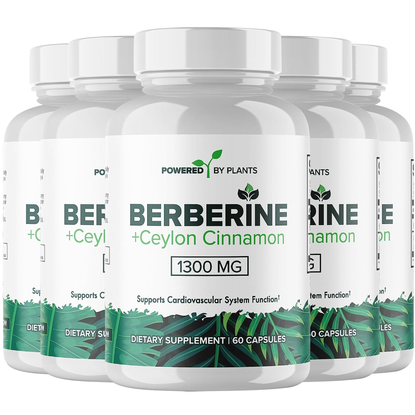 POWERED X PLANTS Berberine with Cinnamon Supplement Capsule, 300 Capsules