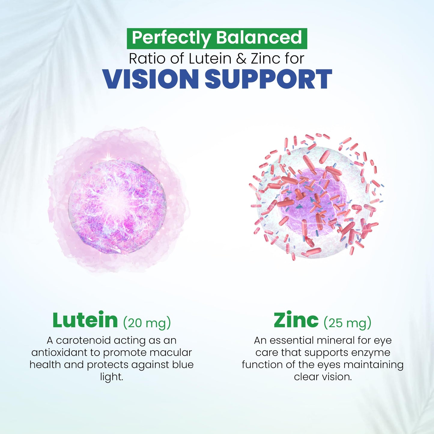 DR VITAMIN SOLUTIONS AREDS 2 Eye Vitamins Lutein and Zeaxanthin for Macular Health Bilberry Capsule 60