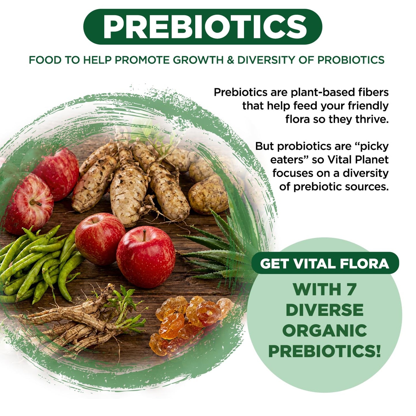Vital Planet Vital Flora Adults Over 55 Daily Probiotic, 60 Capsules