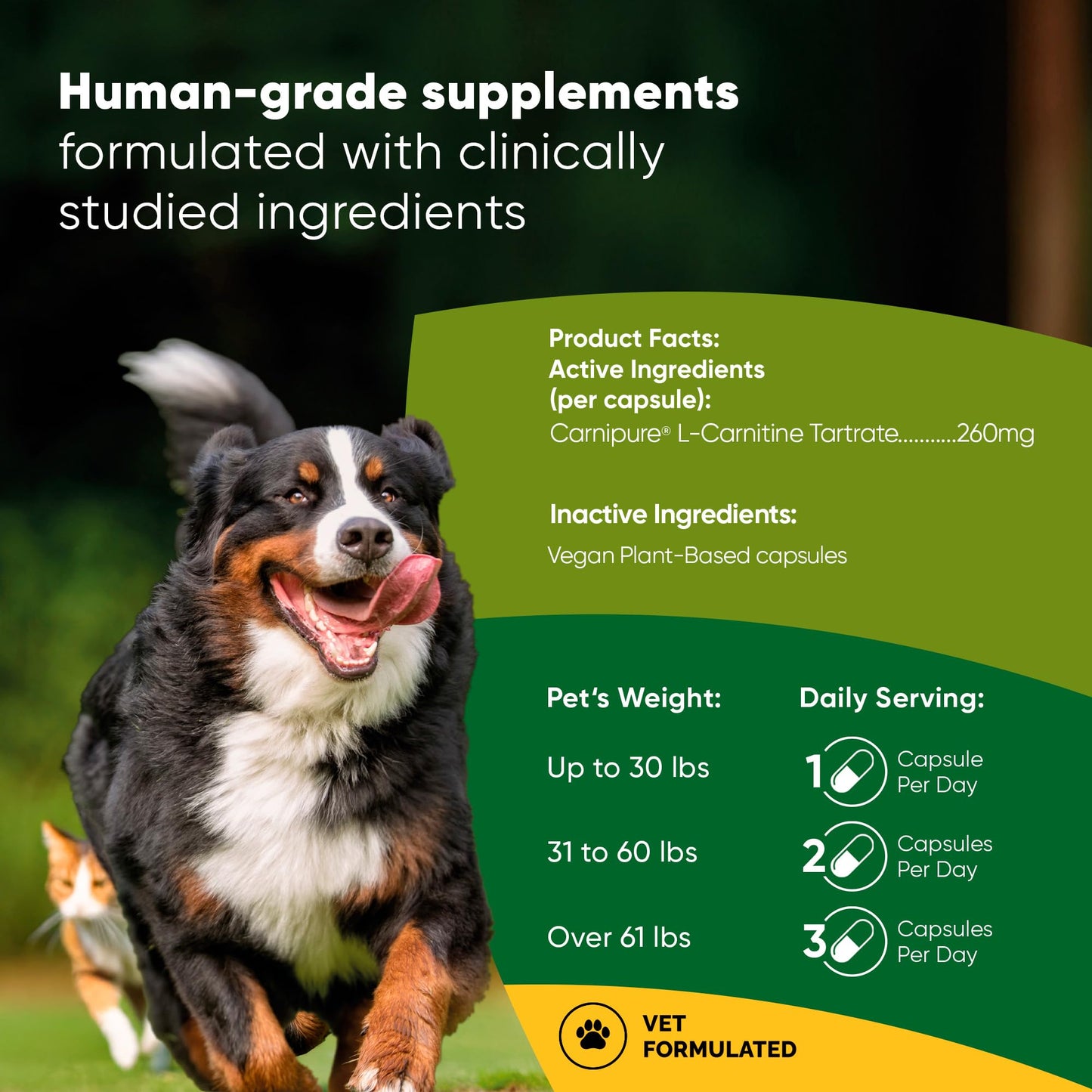Rooted Owl Healthy Weight & Energy Metabolism Supplement for Dogs & Cats Capsule 1