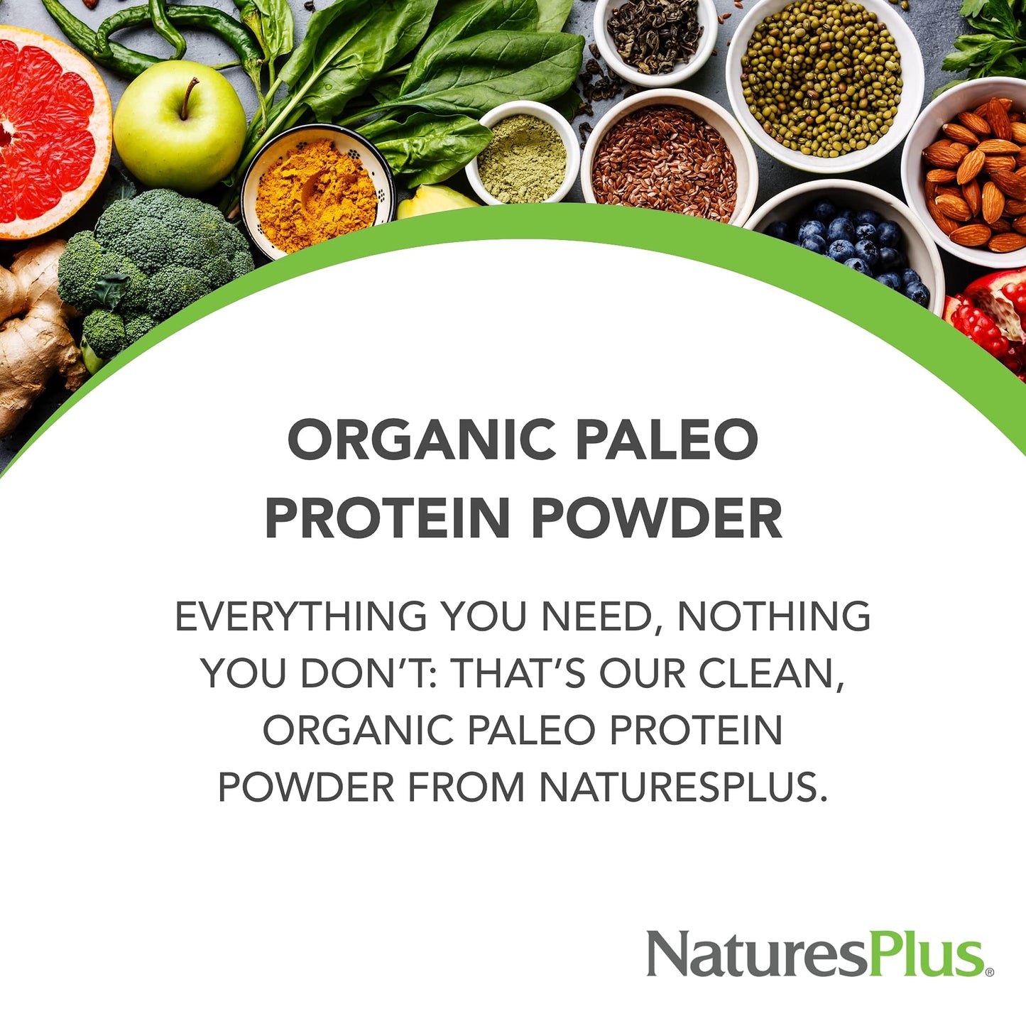 Nature's Plus Organic Paleo Protein Powder - Unflavored, Unsweetened - 15 Servings, 1.49 lb