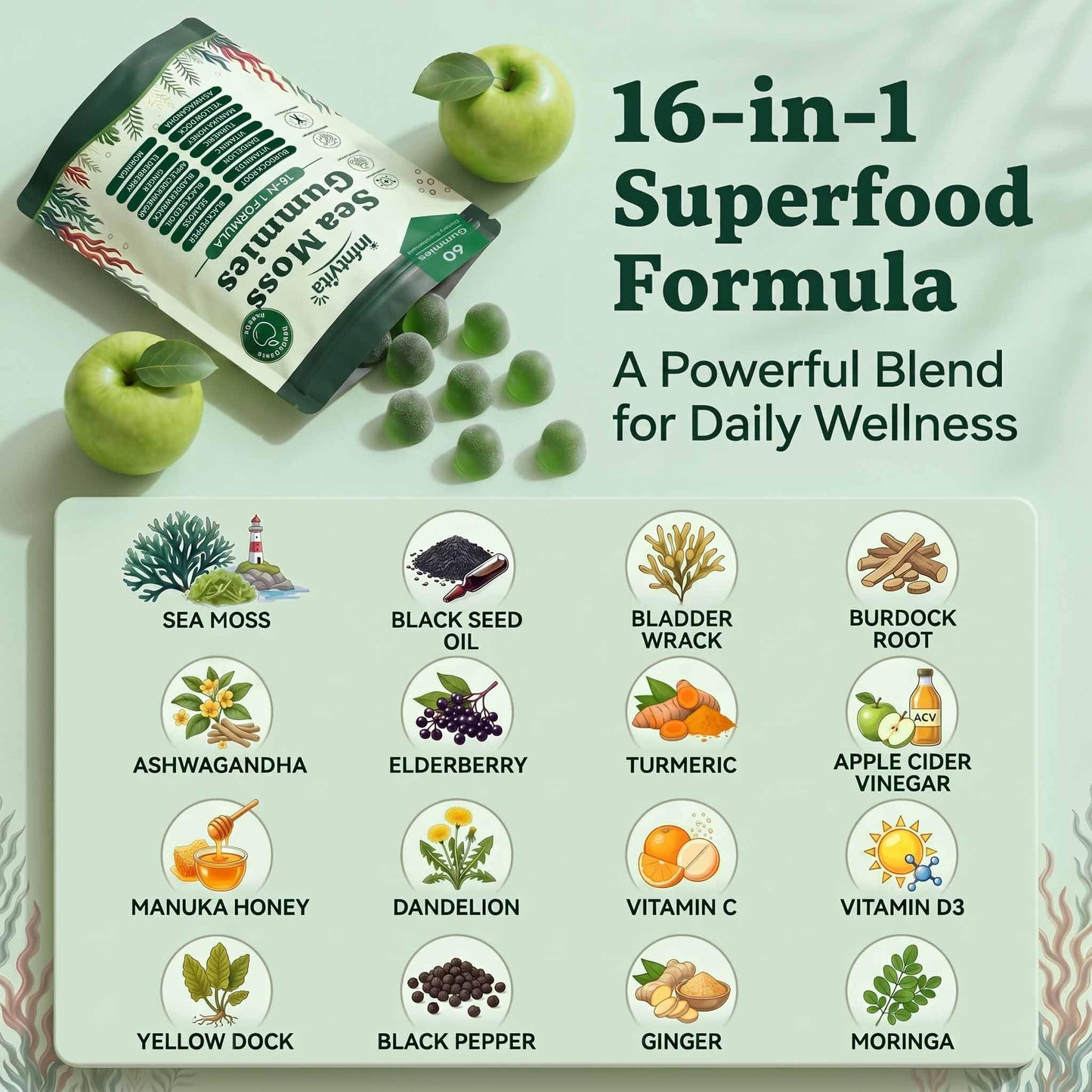 YALGET Sea Moss Gummies 16-in-1 with Ashwagandha, Black Seed Oil, Ginger, Turmeric, Manuka Honey, Black Pepper, Moringa, Elderberry – Daily Wellness & Immune Support – Apple Flavor, 60 Gummies