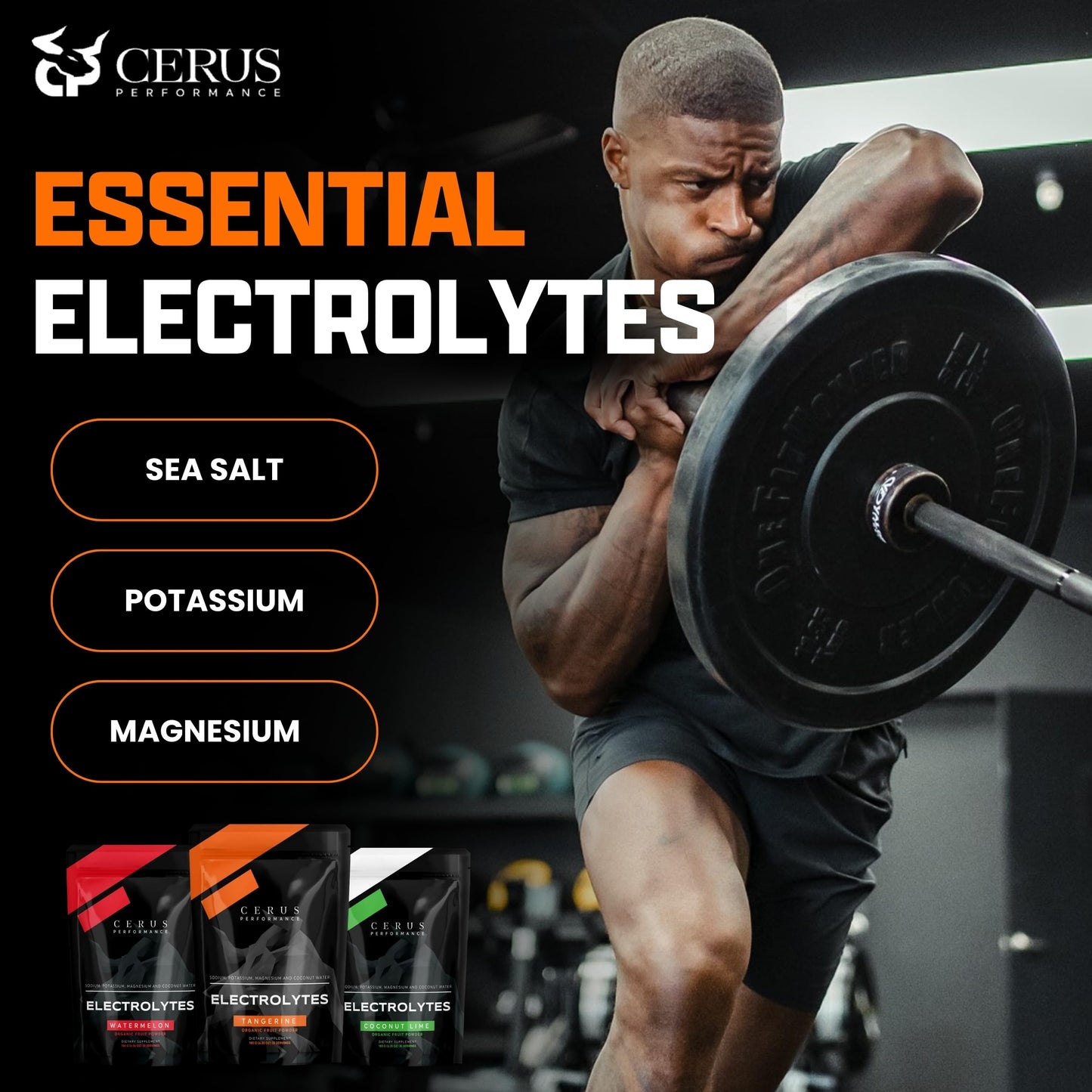 Cerus Performance Electrolyte Powder, Tangerine Flavor, 6.56 oz