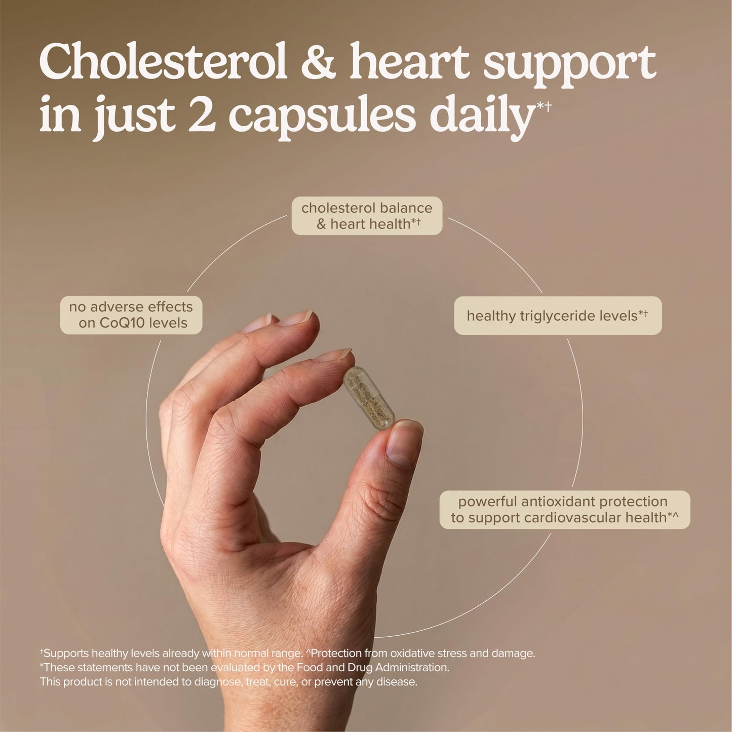 Terry Naturally Healthy Cholesterol with Amla 60 Capsules